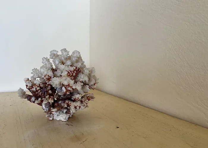 Beach, Sun, Air Conditioning And Parking In Agay! Apartmán