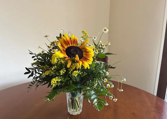 Beach, Sun, Air Conditioning And Parking In Agay! Apartmán Saint-Raphaël