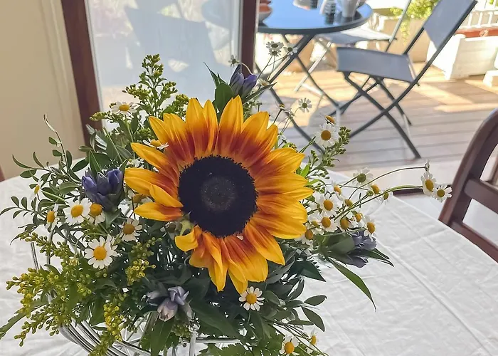 Beach, Sun, Air Conditioning And Parking In Agay! * Saint-Raphaël